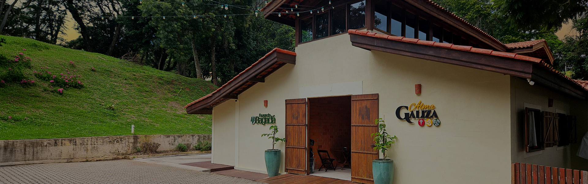 foto 01